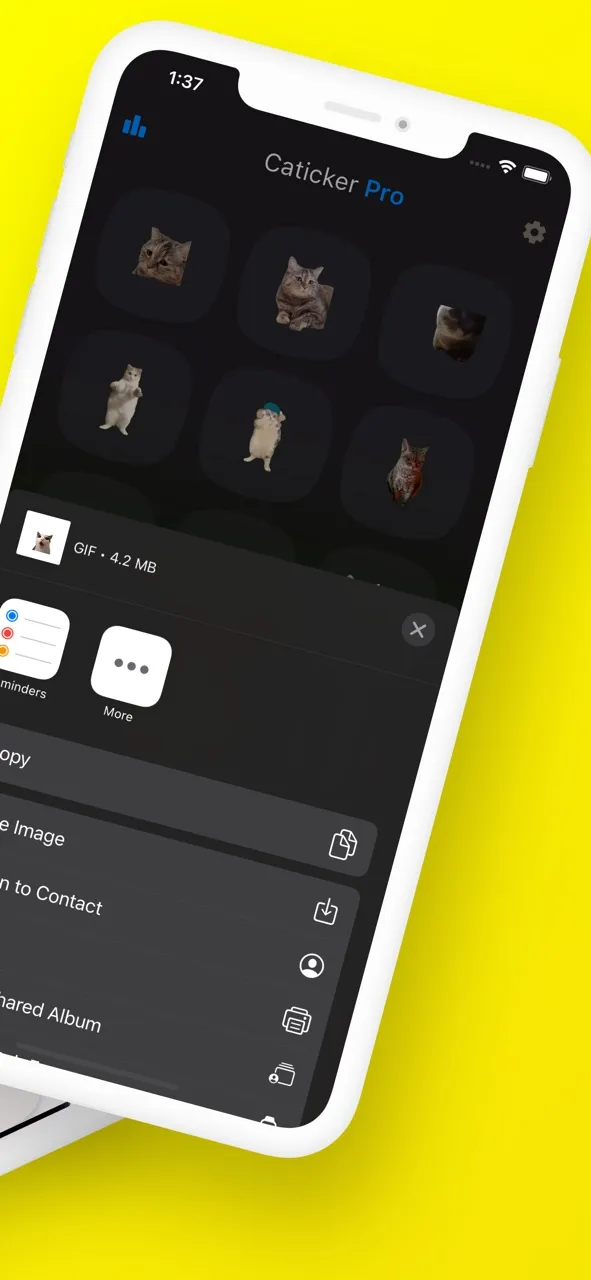 Cat Meme Stickers: Caticker | เกม | XWorld Cat Meme Stickers: Caticker | เกม | XWorld