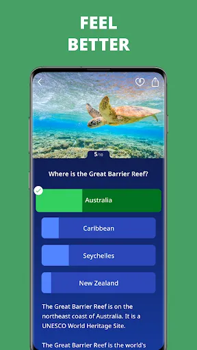 Антистресс викторина: Zen Quiz | เกม | XWorld