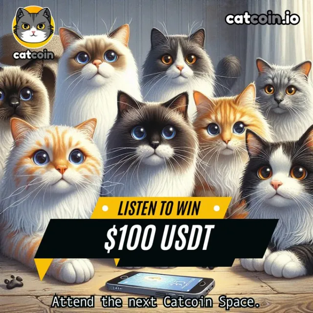 Catcoin | Игры | XWorld