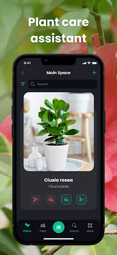 PlantIn Plant Identifier, Care | Games | XWorld PlantIn Plant Identifier, Care | Games | XWorld