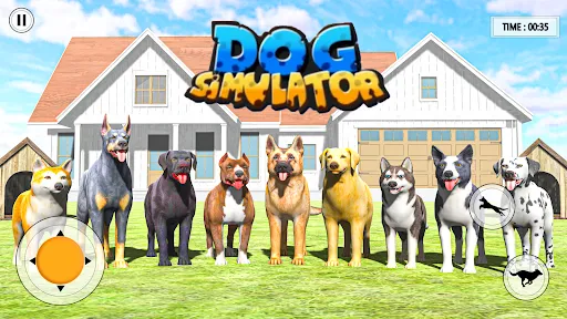 Jogo de Abrigo de Animais Pet | Jogos | XWorld Jogo de Abrigo de Animais Pet | Jogos | XWorld