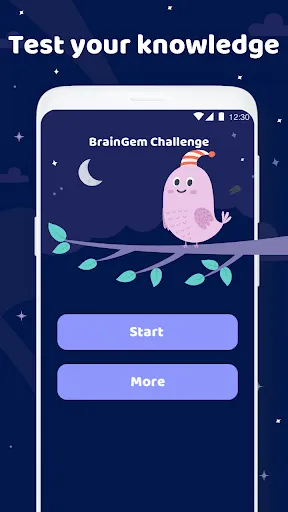 BrainGemChallenge | เกม | XWorld