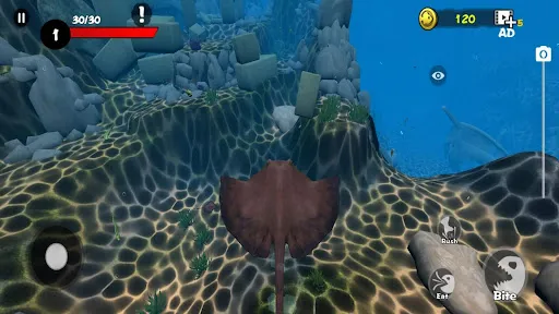 Fish Grow and Evolution | เกม | XWorld