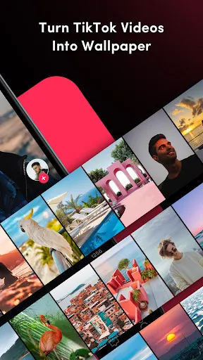 TickTock-TikTok Live Wallpaper | Games | XWorld TickTock-TikTok Live Wallpaper | Games | XWorld