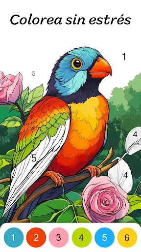 Pintar con Números | juego | XWorld