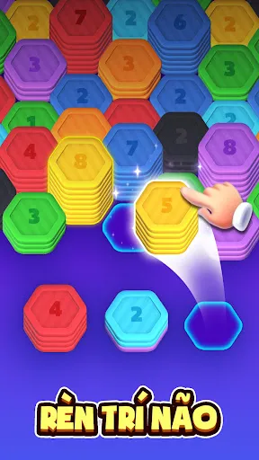 Hex Sorting: Hexa stack puzzle | Games | XWorld