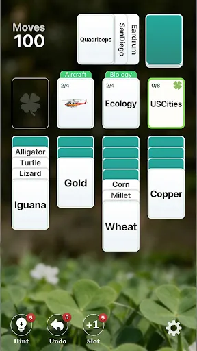 Word Sort | 游戏 | XWorld