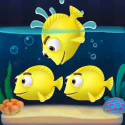 XWorld | Fish Sort 3D: Match Puzzle