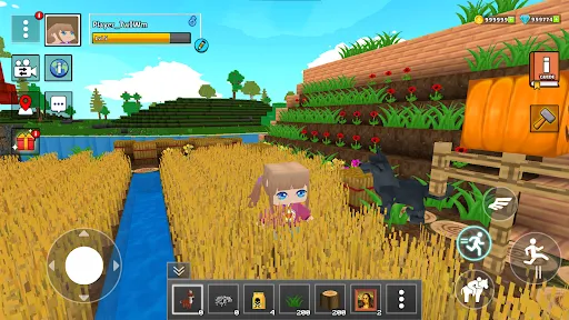 Life Craft - Life Simulator | 游戏 | XWorld