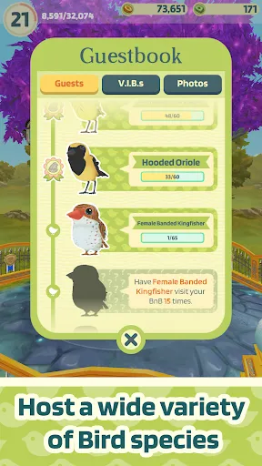 Bird Bed & Breakfast | Games | XWorld Bird Bed & Breakfast | Games | XWorld
