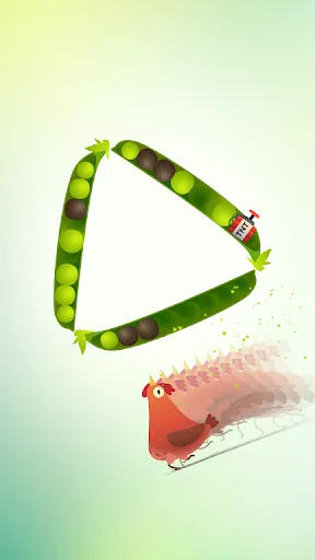 Pigeon Pop: Bird Life Pet Shop | 游戏 | XWorld Pigeon Pop: Bird Life Pet Shop | 游戏 | XWorld