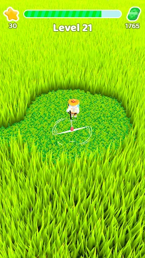 Mow My Lawn - Cutting Grass | Games | XWorld