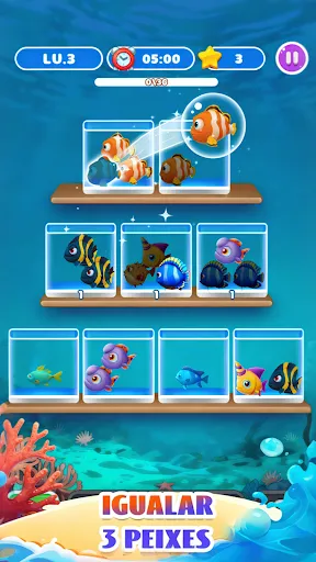 Tanque de Bolhas | Jogos | XWorld