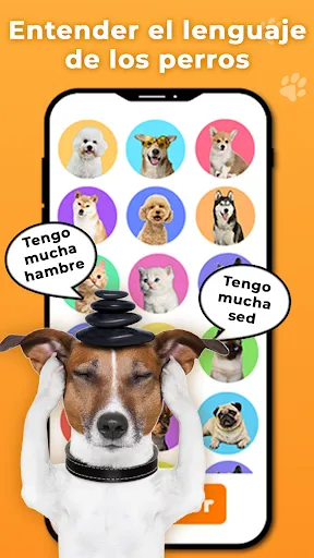 Traductor Canino: Bromas | juego | XWorld