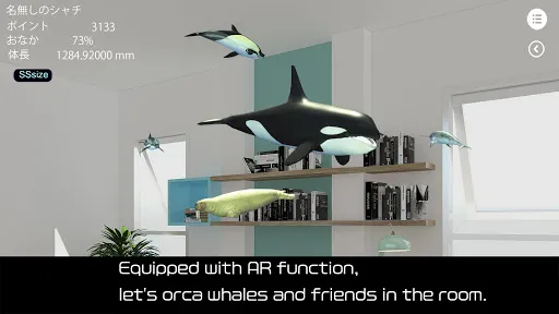 Orca  and marine mammals | Permainan | XWorld