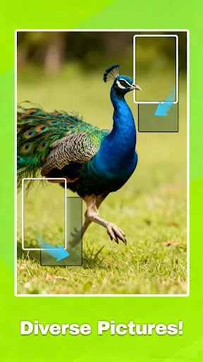 Jigscapes Puzzle | 游戏 | XWorld Jigscapes Puzzle | 游戏 | XWorld