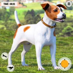 XWorld | Animal Shelter Simulator Game