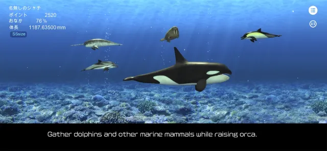 Orca  and marine mammals | Permainan | XWorld