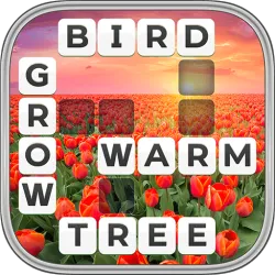 XWorld | Word Wiz - Connect Words Game