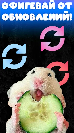 Hamster Clicker Тапать хомяка | Игры | XWorld