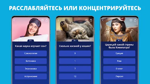 Антистресс викторина: Zen Quiz | Игры | XWorld