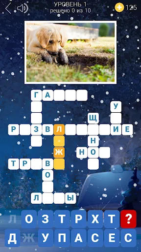 Зимние кроссворды | Игры | XWorld