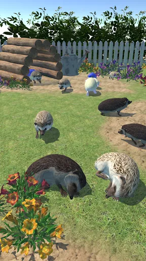 Hedgehog Friends | เกม | XWorld