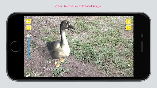 Animal Ar | Games | XWorld