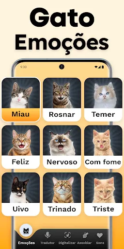 Tradutor de Gatos - Jogo Gato | Jogos | XWorld