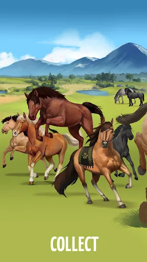 Howrse - Horse Breeding Game | Games | XWorld