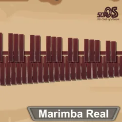 XWorld | Marimba, Xylophone, Vibraphone