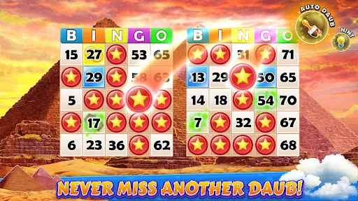 Bingo Cruise: Live Bingo Party | Games | XWorld