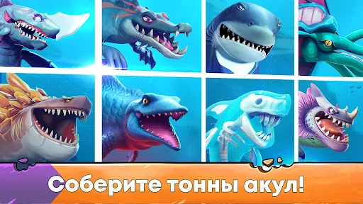 Hungry Shark Evolution: акула | Игры | XWorld