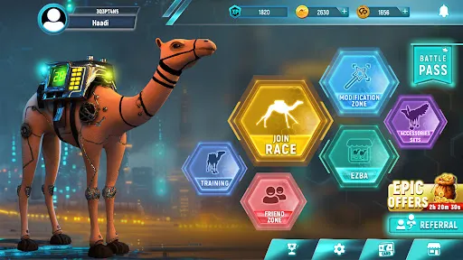 Camel Rally | 游戏 | XWorld