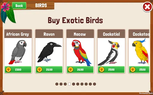 Bird Land: Pet Shop Bird Games | Permainan | XWorld