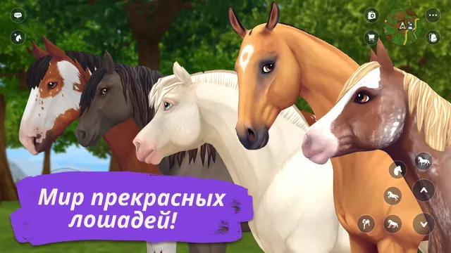 Star Stable Online | Игры | XWorld