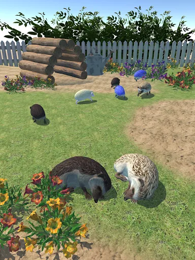 Hedgehog Friends | เกม | XWorld