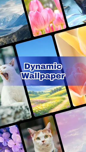 Dynamic Wallpaper - HD & Live | Игры | XWorld