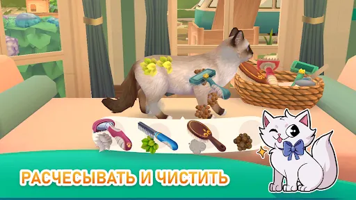 Кошачьи спасатели: приют | Игры | XWorld Кошачьи спасатели: приют | Игры | XWorld