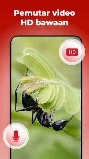 Vidmaze: Manajer Pemutar Video | Permainan | XWorld