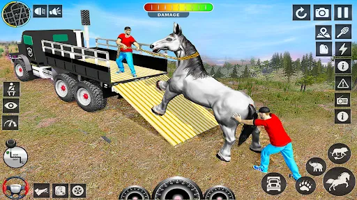 Wild Animals Transport Truck | juego | XWorld