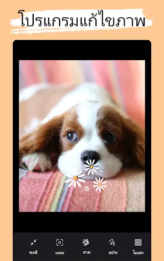 เครื่องตัดต่อภาพ | เกม | XWorld เครื่องตัดต่อภาพ | เกม | XWorld