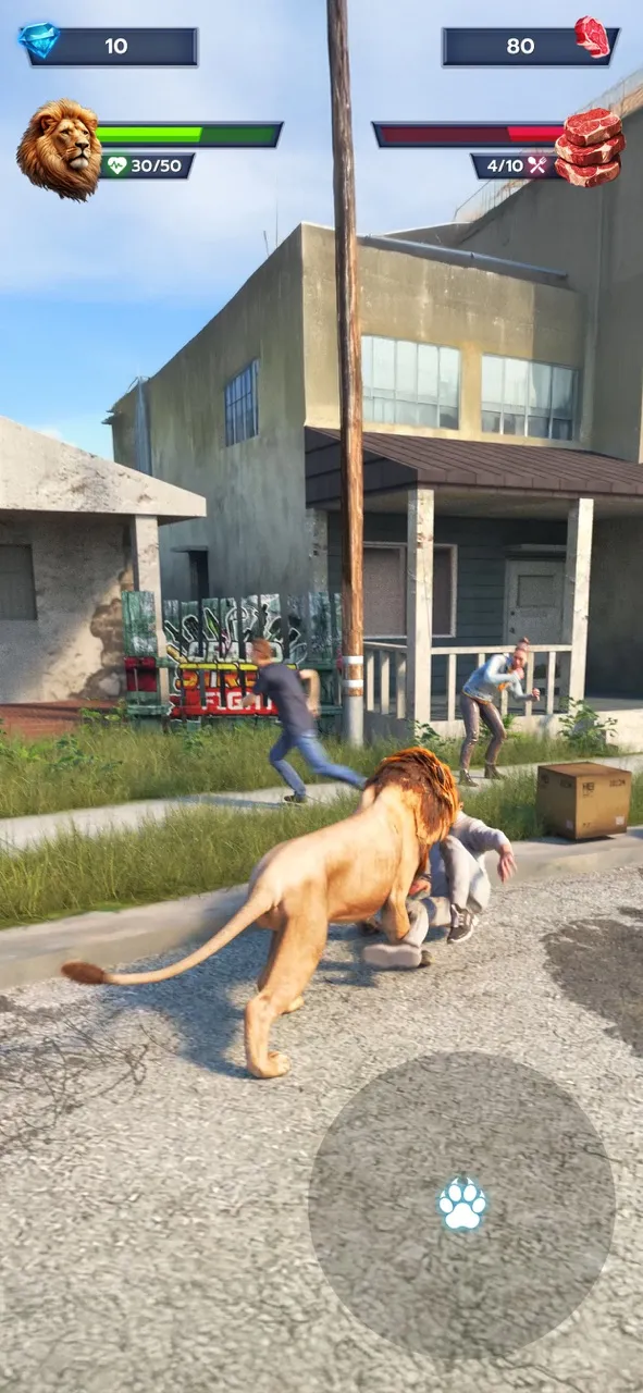 Lion Survival - Wild Beast Sim | 游戏 | XWorld