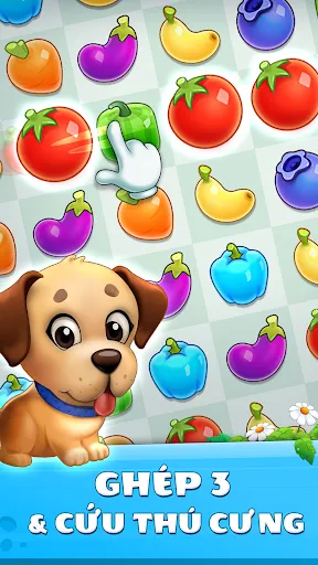 Giải cứu Thú cưng: Tìm & cứu c | Games | XWorld Giải cứu Thú cưng: Tìm & cứu c | Games | XWorld