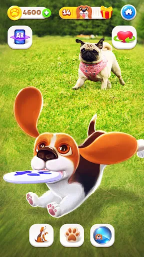 Tamadog - Puppy Pet Dog Games | Games | XWorld