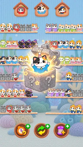 Cutie Sort: เกมจัดเรียงแมว | เกม | XWorld Cutie Sort: เกมจัดเรียงแมว | เกม | XWorld
