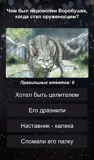 Секреты Котов-Воителей | Игры | XWorld
