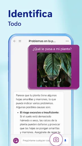 Bing: Chatea con IA y GPT-4 | juego | XWorld