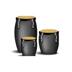 XWorld | Congas & Bongos Percussion