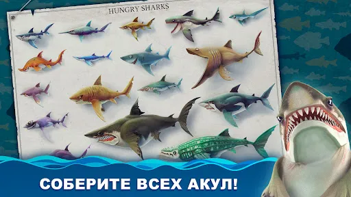 Hungry Shark World | Игры | XWorld